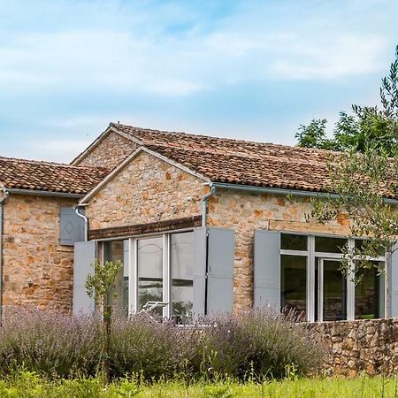 Tenuta Paljari Vižinada Buitenkant foto