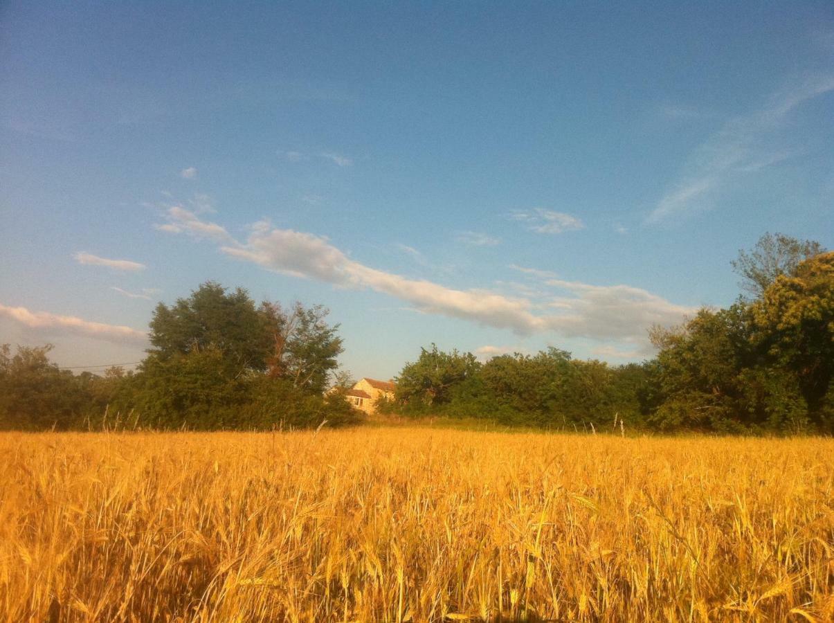 Tenuta Paljari Vižinada Buitenkant foto